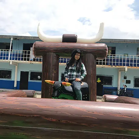 toro mecanico alquiler en Guatemala