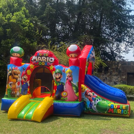 Castillo Inflable de Mario Bros